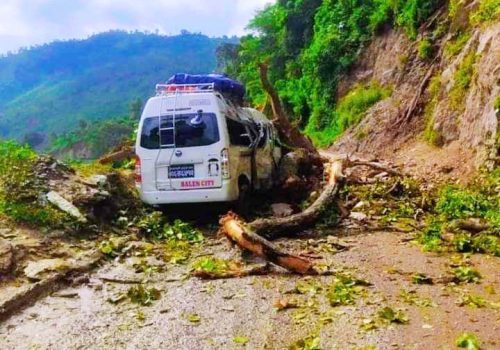 धादिङमा गुडिरहेको माइक्रो बसमाथि रुख ढल्यो, ७ यात्रु घाइते