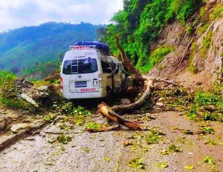 धादिङमा गुडिरहेको माइक्रो बसमाथि रुख ढल्यो, ७ यात्रु घाइते