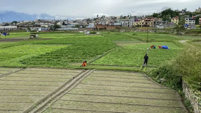 घर–जग्गाको कारोबारमा आएन अपेक्षित सुधार, राजस्व सङ्कलनमा गिरावट